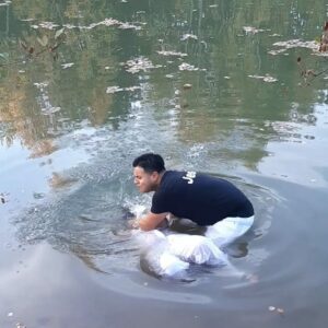 d78c0eaa-6c3f-4c61-a890-084e27103227